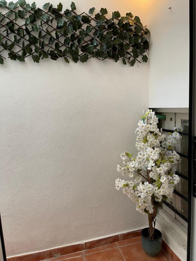 Dream Recova Apartment ซานตาครูซ เด เตเนริเฟ ภายนอก รูปภาพ