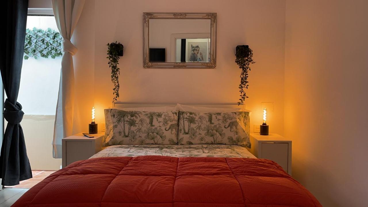 Dream Recova Apartment ซานตาครูซ เด เตเนริเฟ ภายนอก รูปภาพ