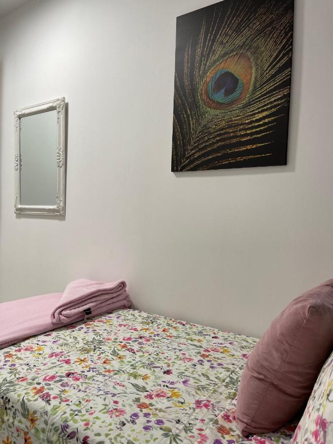 Dream Recova Apartment ซานตาครูซ เด เตเนริเฟ ภายนอก รูปภาพ