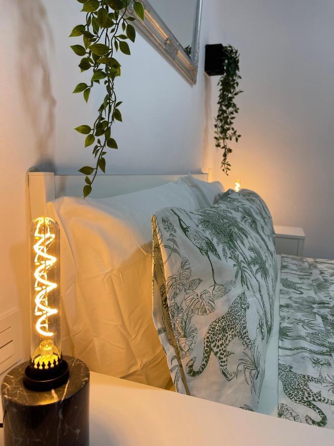 Dream Recova Apartment ซานตาครูซ เด เตเนริเฟ ภายนอก รูปภาพ